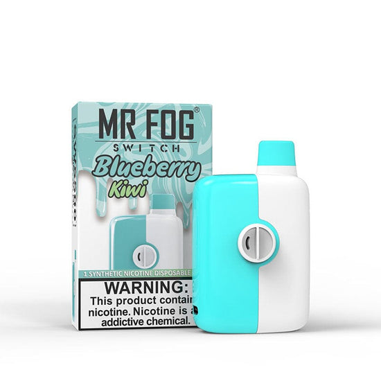 Load image into Gallery viewer, Blueberry Kiwi - Switch Disposable Mr. Fog 
