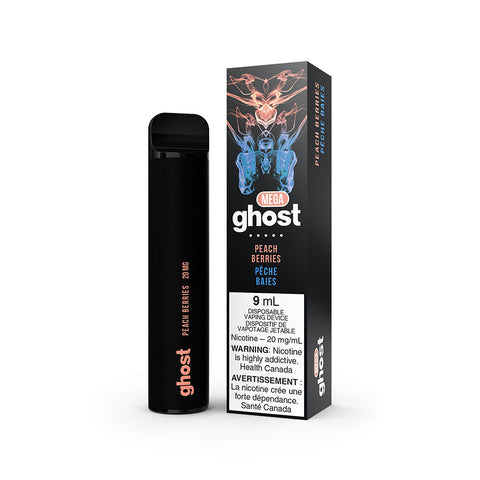 Load image into Gallery viewer, Peach Berries - Mega Disposable Ghost Mega 
